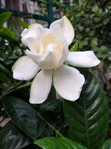 贊美小溪的詩(shī)句古詩(shī)