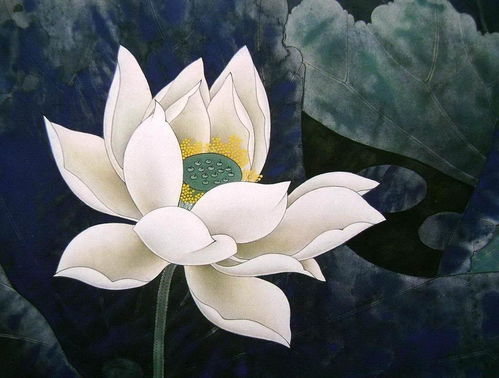 關于贊美荷花的詩句古詩詞