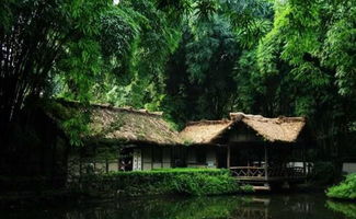 杜甫在成都草堂關(guān)于竹子的詩句