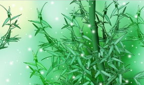 關(guān)于竹子的的詩(shī)句是什么意思