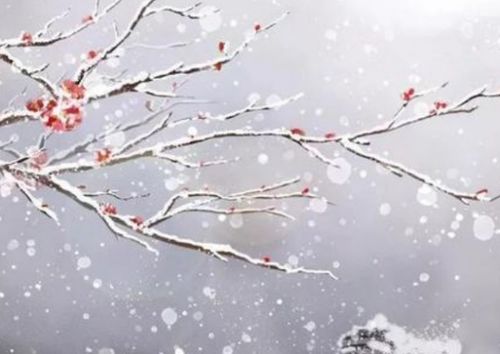 雪梅古詩(shī)句一句的翻譯