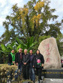 光字的古詩(shī)句