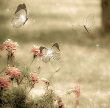 風(fēng)與花的詩句是什么,風(fēng)和月的詩句是什么,風(fēng)的情詩句是什么