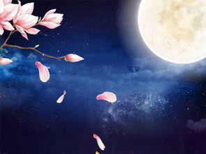 關(guān)于中秋節(jié)的七字詩句