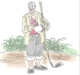 關(guān)于用鋤的詩句