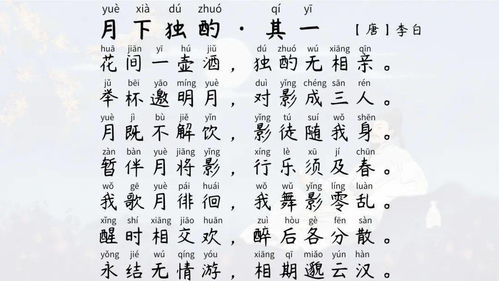 古詩中描寫月亮的詩句有什么意思是什么意思