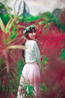 關(guān)于憤怒的古詩句子短的