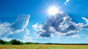 寫(xiě)春天朝氣蓬勃的古詩(shī)句