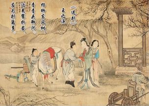 關(guān)于戴柳的詩句