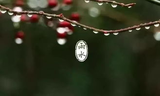 關(guān)于雨的詩(shī)句分喜雨和愁雨