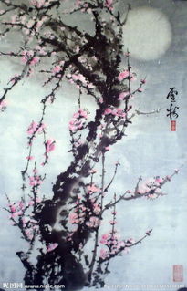 關(guān)于雪梅的詩句古詩