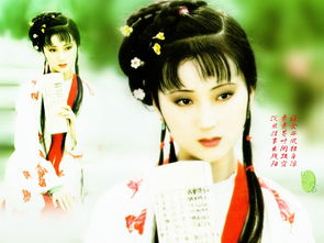 紅樓夢有關(guān)林黛玉葬花的詩句,紅樓夢屬于林黛玉的詩句,紅樓夢贊美林黛玉的詩句