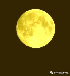 關(guān)于中秋節(jié)的傷感詩(shī)句