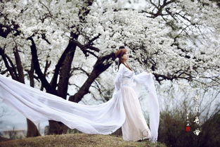 關(guān)于古箏的凄美詩句