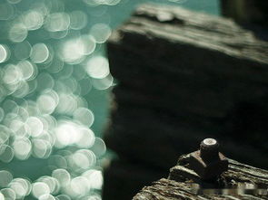 關(guān)于好友緣分的詩句