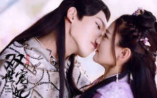 關(guān)于情敵的詩句