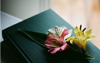 關于潮落的詩句