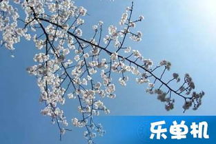 描寫仲春時(shí)節(jié)的詩(shī)句古詩(shī)