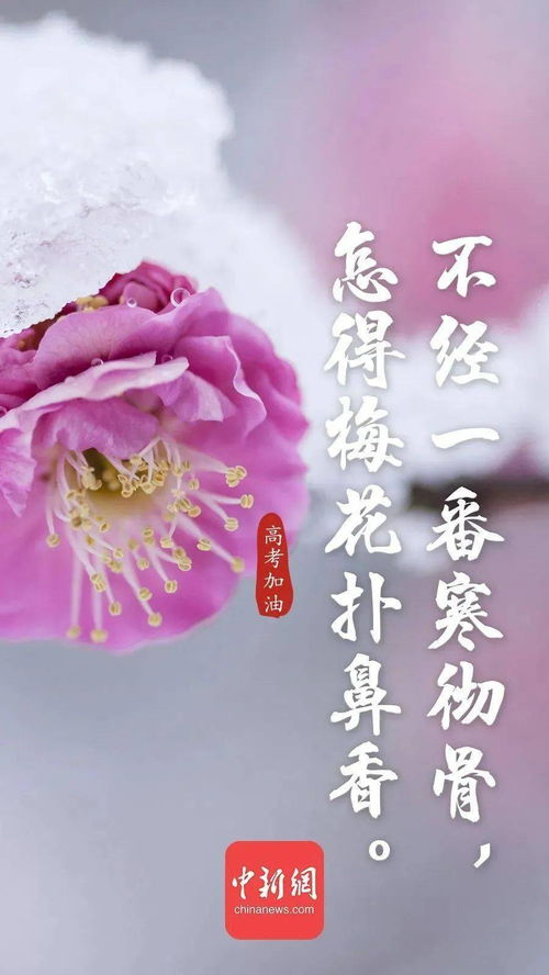 詩(shī)句,結(jié)婚,朋友