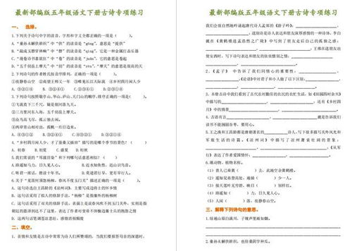 五級(jí)古詩(shī)句考法