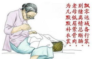 兩句,詩句,母親,有哪些