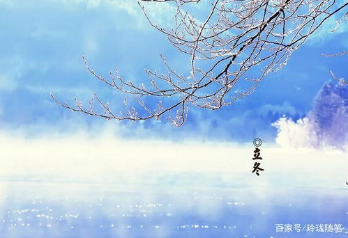 很美,詩句,景色