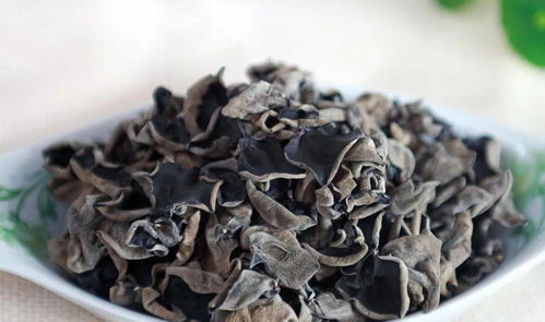 簡(jiǎn)單七句古詩(shī),關(guān)于中秋的古詩(shī)句簡(jiǎn)單,關(guān)于花鳥(niǎo)的古詩(shī)句簡(jiǎn)單