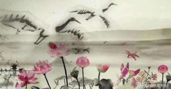 古詩(shī),詩(shī)句,景色,夏天