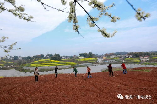 關(guān)于春耕意義的詩句