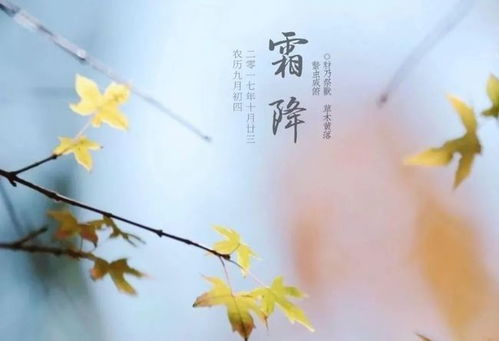 描寫霜降的詩句古詩詞,描寫霜降節(jié)氣的詩句,描寫霜降柿子的詩句