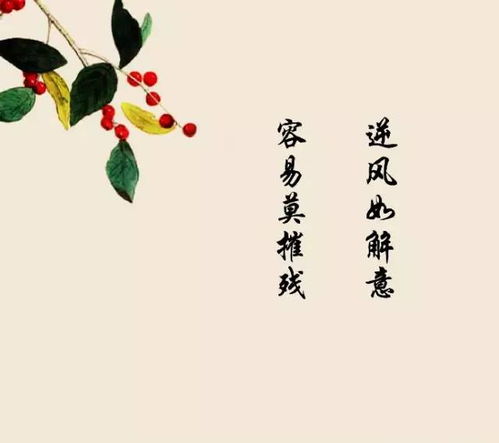 關(guān)于心詩(shī)句有哪些