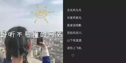 好聽的古詩情侶網(wǎng)名,好聽有意境的古詩句情侶網(wǎng)名,好聽的古詩網(wǎng)名男