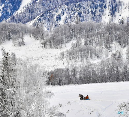 含有春歸的詩句古詩