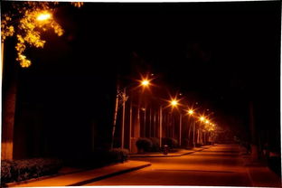 關于描寫夏天景色的古詩句,關于描寫夏天的古詩句,寫夏天的古詩句