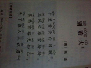 別董大古詩(shī)的詩(shī)句意思