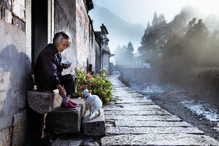 三句關(guān)于遺憾的詩句