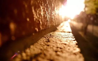 揮別過去展望未來古詩句