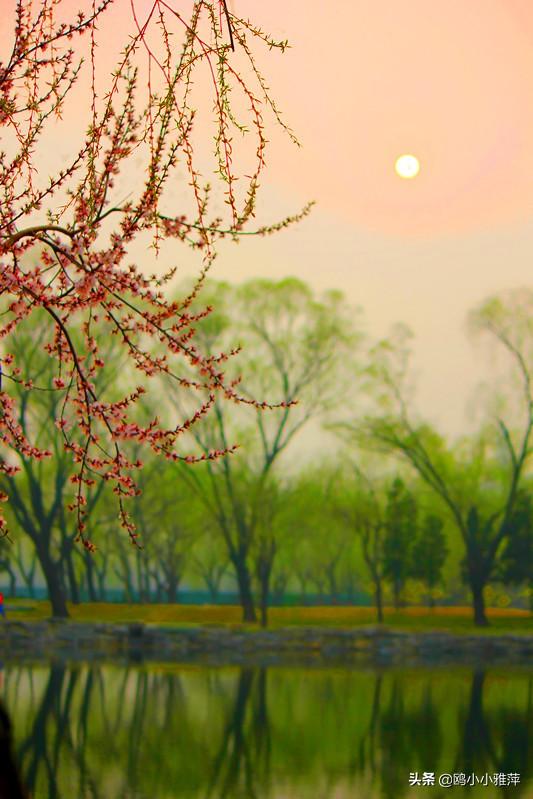 古詩(shī),詩(shī)句,迎春