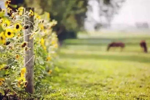 人生之路感悟的詩句,人生之路坎坷不平的詩句,描寫人生之路的詩句