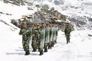 關(guān)于對(duì)軍人冷漠的詩句