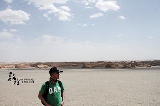 關(guān)于描寫壯闊的詩句