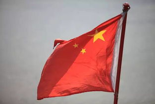 關(guān)于愛國的詩句短一點