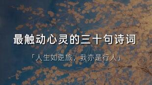 關于心靈的古詩句