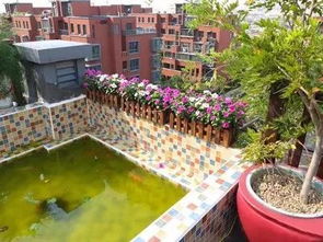 寫芳華易逝的古詩句