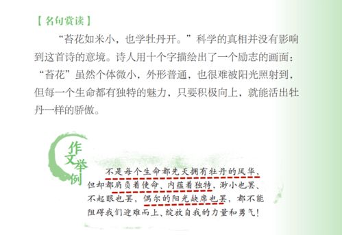 關(guān)于個(gè)人感情問題的詩(shī)句