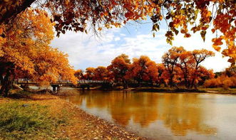 詩(shī)句,秋天,冬天