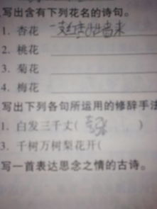 寫(xiě)出幾句關(guān)于花的詩(shī)句