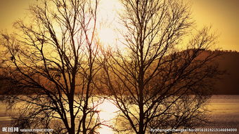 關(guān)于河面夕陽(yáng)的詩(shī)句