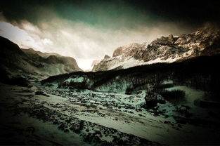 關(guān)于北風(fēng)亂的詩句