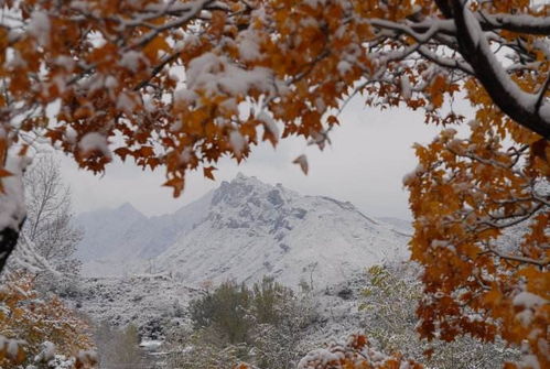 復國無望的詩句,古代復國的詩句,致死不忘復國的詩句
